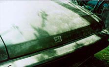 cnv02.jpg (11466 �o�C�g)